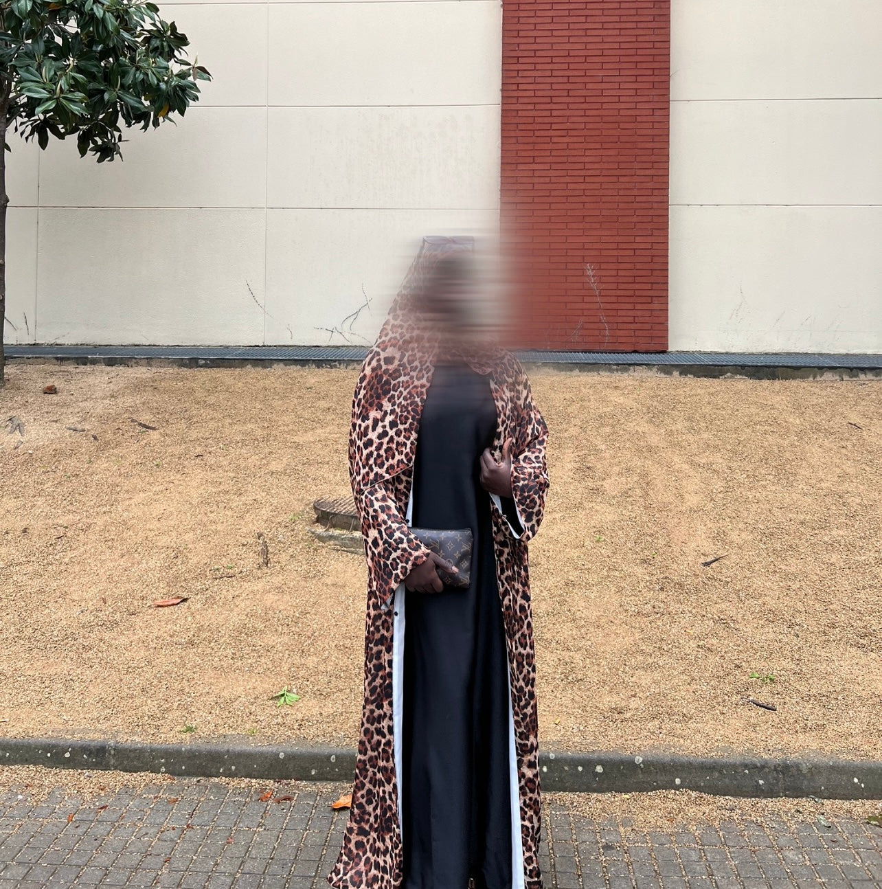 Abaya cheetah