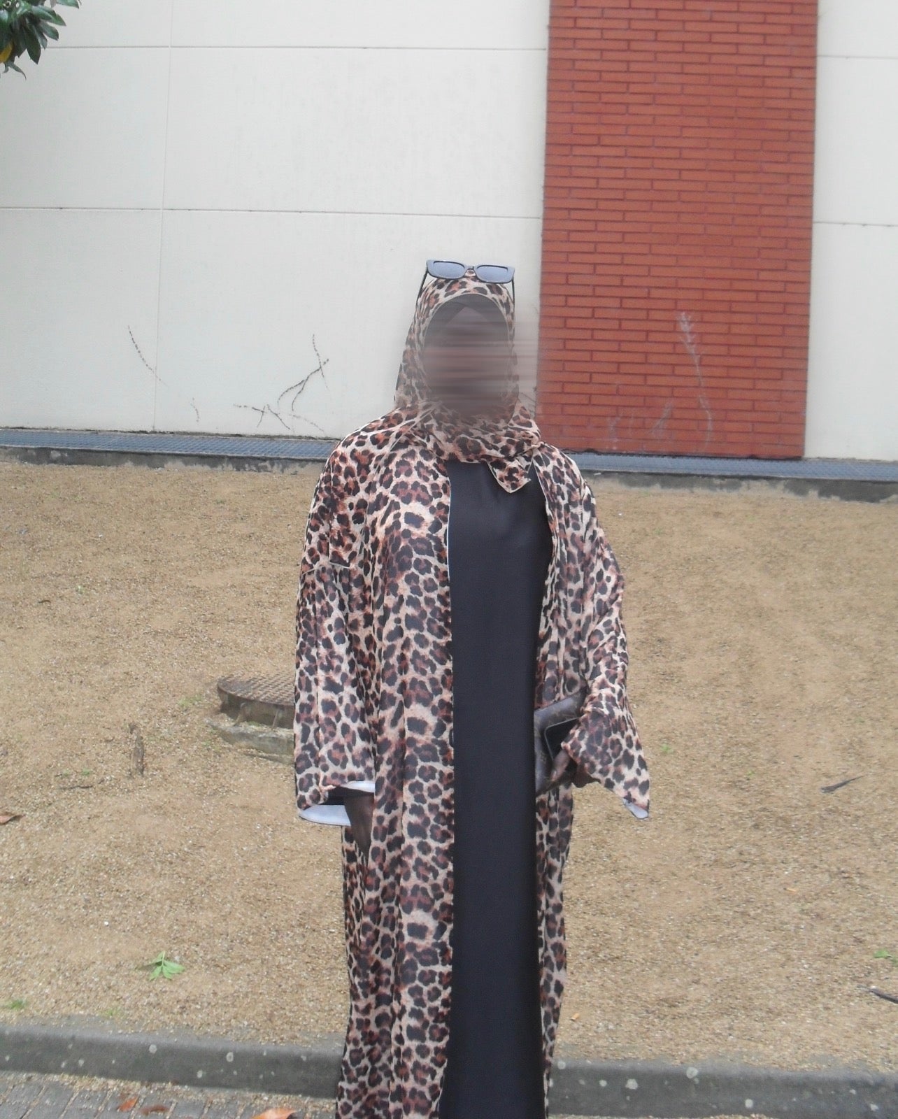 Abaya cheetah