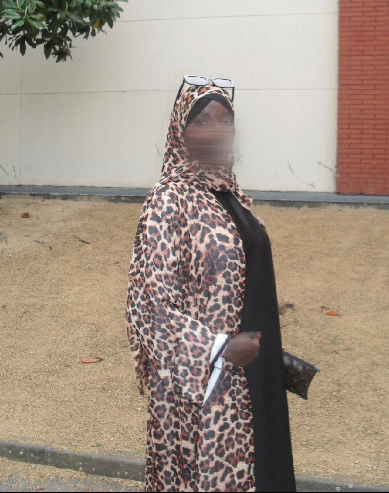 Abaya cheetah